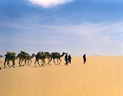 « download wallpaper or choose another screen size or phone. Camel Caravan In Western Tenere Desert Photograph By Tony Buxton Science Photo Library