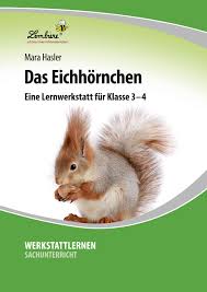 Kaum Ein Waldtier Ist So Beliebt Und Faszinierend Wie Das Eichhornchen Mithilfe Dieser Lernwerkstatt Lernen Die Kinder Die Le Eichhornchen Kinder Lesen Lernen