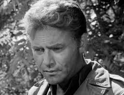 Hamlette's Soliloquy: The Fantastical and Felicitous Fictional Character  Blog Tag