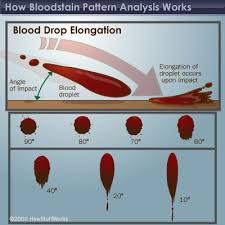 How Bloodstain Pattern Analysis Works Writing Writing