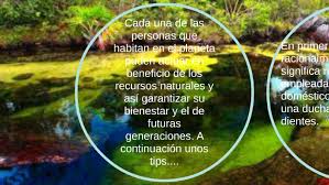 Sólo podemos dominar la naturaleza si la obedecemos. Como Cuidar La Naturaleza By Maria Fernanda Toro Oviedo