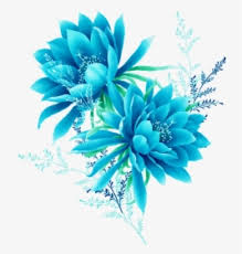 We did not find results for: Blue Flower Png Images Free Transparent Blue Flower Download Kindpng