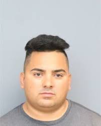 Suspect wanted in connection with violent domestic assault arrested