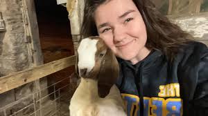 Nice young bull anyone interested pm me