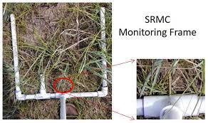 About a year ago, we started to wonder, where is this nebraska guy? he hadn't released any new music since the lp. What Should My Pastures Look Like Interpreting Rangeland Monitoring Data Thefencepost Com