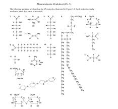 Click the button to the left of the single best answer. Solved Macromolecule Worksheet Ch 5 The Following Ques Chegg Com