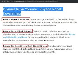 Ruyada Beyaz Kopek Gormek Ne Anlama Gelir Kopek Isaretler Ruya