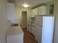 1 bedroom apartments for rent in