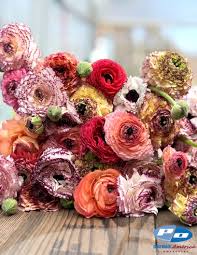 Image result for Ranunculus stagnalis
