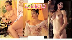 อัลบั้มนวลนาง SPECIAL 1988 – 108TEEN