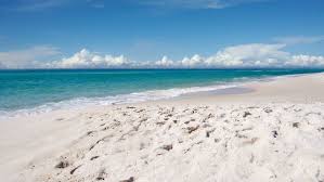 Denmark Interiors Fort Myers Florida Sanibel Island