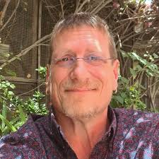 Mark Hirst at Blue Beetle: Bespoke Digital Strategies for Brand Growth