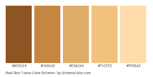 real skin tones color scheme brown schemecolor com