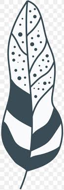 Blue spotted fantail stingray (taeniura iymma). Clip Art Line Art Product Leaf Png 609x965px Line Art Artwork Black Black And White Leaf Download Free