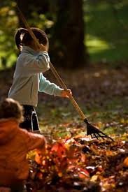 Raking Leaves Together Seasons Fall Autumn Leaves