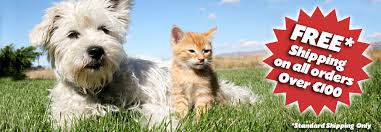 Discover and compare the best and most trusted companies on trustpilot, with over 4000+ categories to choose from. Ireland S Online Pet Shop Mollys Pet Boutique