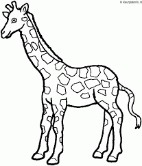 612 x 729 gif pixel. Dieren Tekeningen Om Te Kleuren