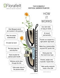 We did not find results for: Florafelt Living Wall Guide Plants On Walls