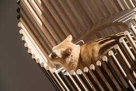 N37°37.13' / w122°22.53' located 08 miles se of san francisco, california on 5207 acres of land. Fancy Japanese Cat Tree Will Cost You 9 000 Curbed