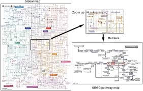 Assessing Cardiac Metabolism Circulation Research