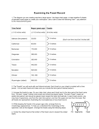 Lesson 1 The Fossil Record Activity