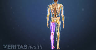 With one hand, grab your knee and the other, your ankle. Sciatica Exercises For Sciatica Pain Relief