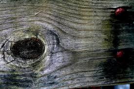 Check spelling or type a new query. Vinegar Steel Wool Wood Stain Southern Revivals