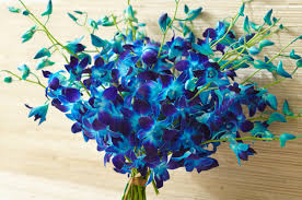 Orchids are members of one of the largest families of flowering plants, the orchidaceae, which is estimated to be made up of anywhere from 22,000 to 25,000 species. How To Care For Orchids Keep Them Looking Their Best 1800flowers Petal Talk