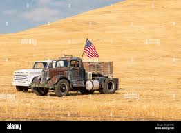 Image result for Chrome Yellow 1946 Truck