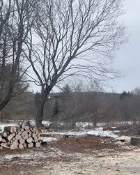 Had an amazing day with the guys lending a helping hand to our community!  Chopping trees and moving wood never felt so rewarding. 💪🌲 #ServiceDay  #Brotherhood #GivingBack