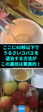 ここに60秒以下でうるさいコバエを退治する方法が この裏技は驚異的 コバエ対策 酢と洗剤で簡単コバエトラップを作る コバエ コバエ 対策 酢 コバエ 退治 コバエ どこから 洗剤 ちえとく コバエ コバエ 対策 蚊 対策