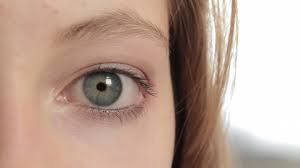 Clostridium difficile est responsable de sérieux troubles de la digestion. Cataracte Definition Symptomes Operation Traitement