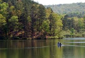Maybe you would like to learn more about one of these? Homes For Sale In Oak Mountain North Shelby County
