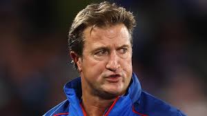 South Australia's shooting stars