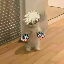 Bakugou But Kitty In 2020 Cute Memes Hero Wallpaper Anime Memes Funny