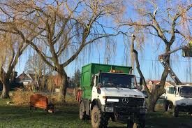 This is said to have included a large pavilion in the market square that was decorated with flowers, three different renderings of the national anthem plus dancing and. Tree Surgeons Nottinghamshire Nottingham Mansfield Newark On Trent Retford Worksop