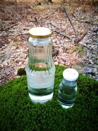 Nous envoyons des colis de sève fraiche accompagnés calages isolants, pour maintenir la sève au frais le temps du trajet.les matériaux utilisés pour caler sont biodégradables, et compostables (à base d'amidon de. Comment Recolter La Seve De Bouleau Soi Meme Grainepeace