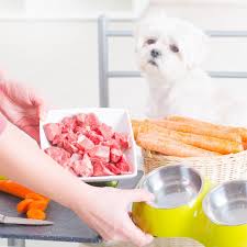 Maybe you would like to learn more about one of these? La Carne Cruda Es Buena Para Los Perros