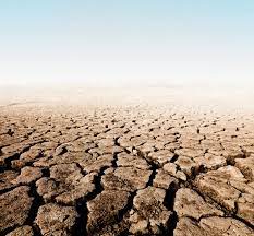 We did not find results for: Effects Of Global Warming Live Science