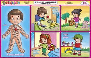 CHIKILINES 116: EL SISTEMA CIRCULATORIO Y SUS CUIDADOS