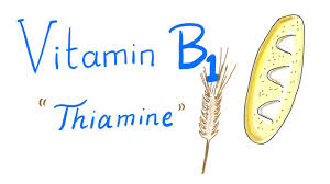 Foods rich in thiamin include yeast, legumes, pork, brown rice, as well as fortified foods, such as breakfast cereals. Vitamin B1 Thiamine Whole Grain Youtube
