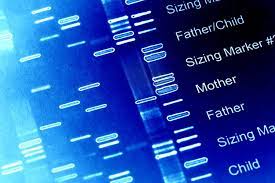 Is It Ever “Too Late” To Conduct A Dna Test? | Everplans
