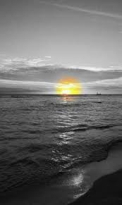 Black And White With Color Pin Ot Polzovatelya Jereica Soto Na Doske Sea And Lake Image Cvety Kartinki