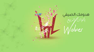 Search for text in self post contents. Wolves Home Facebook