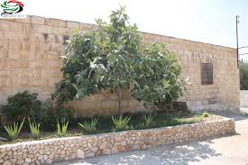 صباحكم أجمل ولنا لقاء آخر ايدون بقلم زياد جيوسي دنيا الرأي