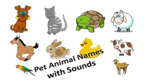 Kids Cartoon Videos Pet Animals Names Images And Sounds Pet Anim Cartoon Gifs Animated Gif Animation