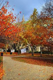 Boston College Walkway Fall Colors Amazing Pics Boston College