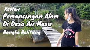 Wisata Pemancingan Alam Air Mesu Bangka Belitung Youtube