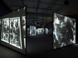 The best London exhibitions to visit in 2023