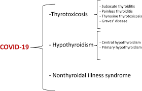 It frequently results in and is the most common cause of hyperthyroidism. Impact Of Covid 19 On The Thyroid Gland An Update Springerlink